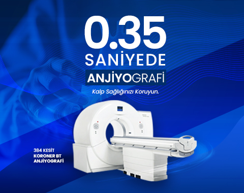 0.35.saniyede.480x380